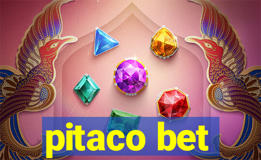 pitaco bet